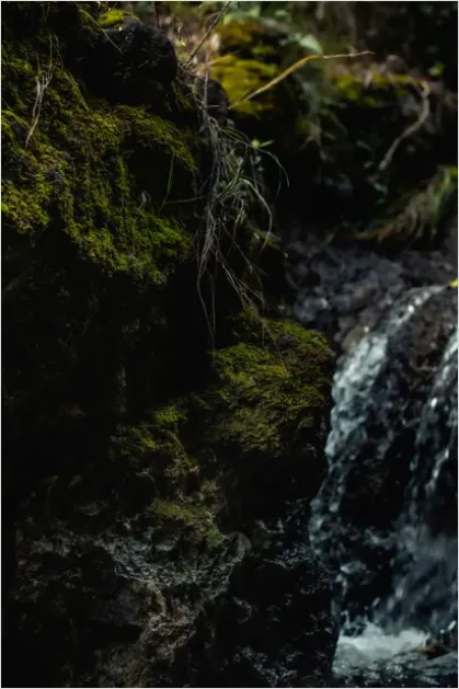 Detail Waterfall Mossy Rocks Close Up Number 8