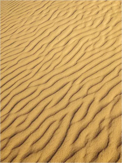 Detail Wind Patterns On Sand Dunes Number 3