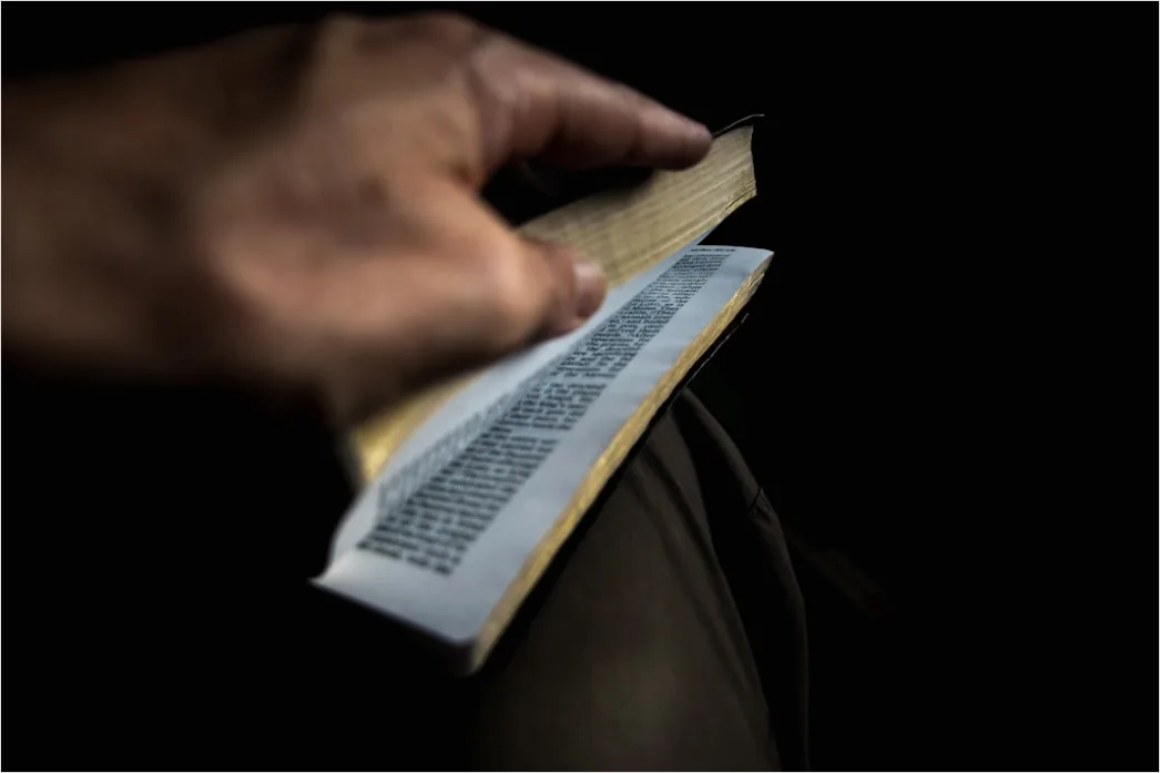 Bibliotheksausweis In Hand Nahaufnahme Foto Ee89