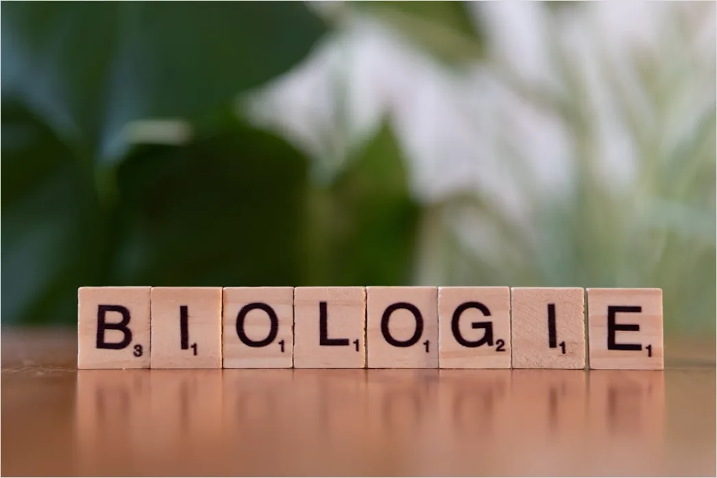 Biologie Unterricht Mikroskop Und Praeparat Nahaufnahme Foto Ae2f