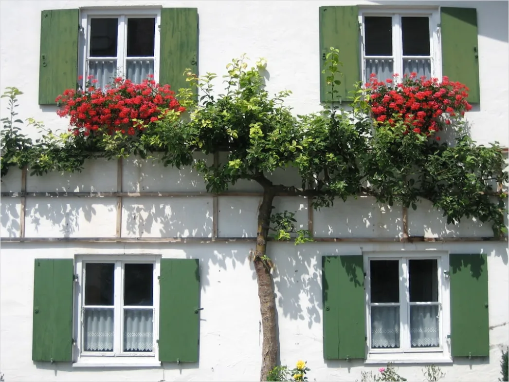 Detail Fensterfront Bodentief Wohnhaus Foto Number 17