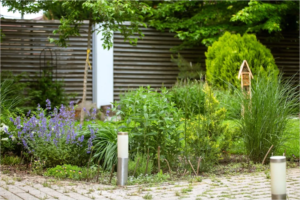 Gartenteich Klein Modern Gestalt Foto F0f8