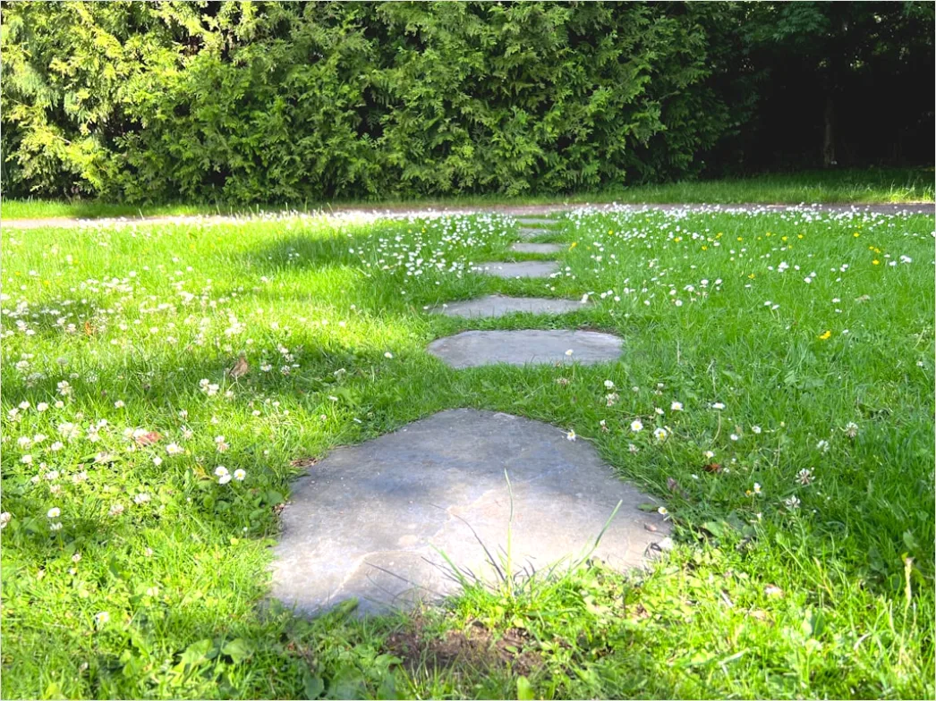 Gartenweg Aus Trittplatten Beton Foto 08fc