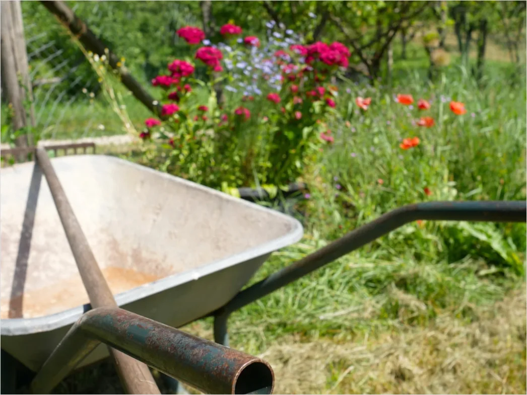 Kompost Im Garten Umweltfreundlich Foto 0efd