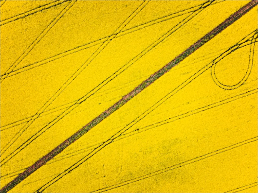 Detail Mathe Geometrie Mit Zirkel Und Lineal Nahaufnahme Foto Number 3