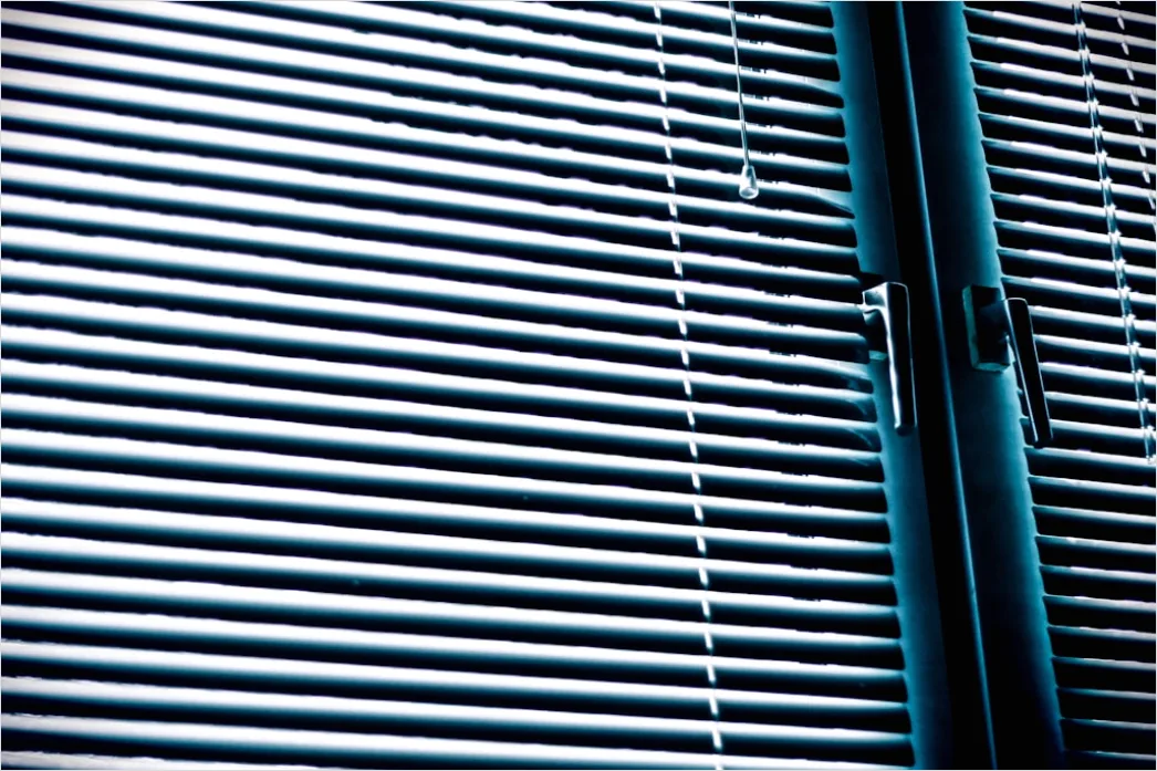 Detail Rollo Plissee Fenster Sichtschutz Foto Number 20