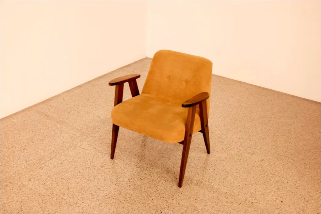 Sessel Lounge Chair Design Klassiker Foto B793