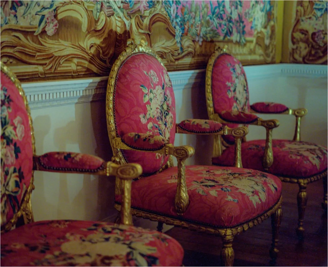 Detail Stühle Esszimmer Stoff Bezogen Foto Number 10