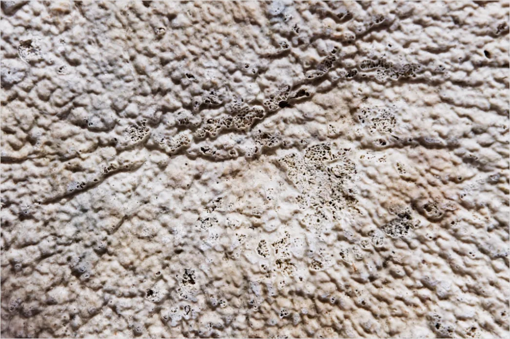 Detail Teppich Berber Stil Creme Schwarz Foto Number 17