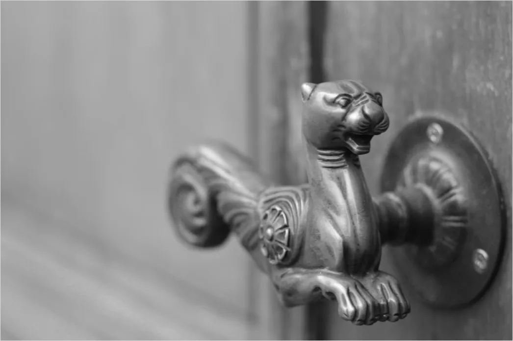 Detail Türgriff Nahaufnahme Gebürstetes Metall Foto Number 12