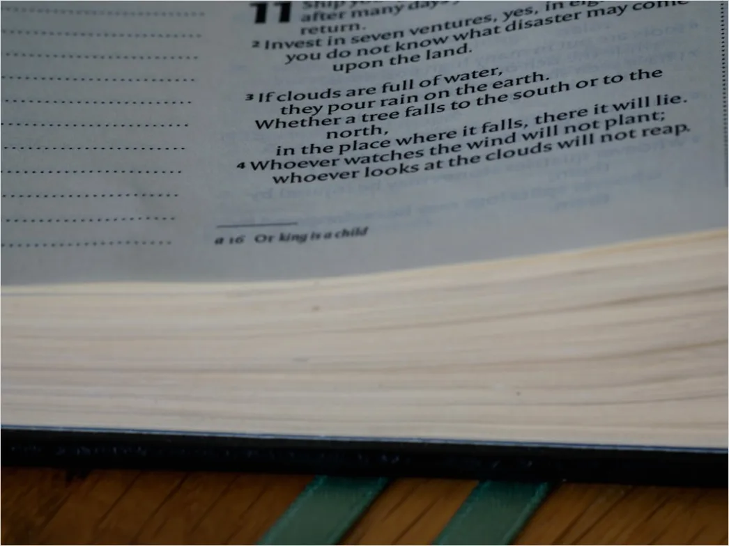 Woerterbuch Und Markierte Seite Nahaufnahme Foto 4f89