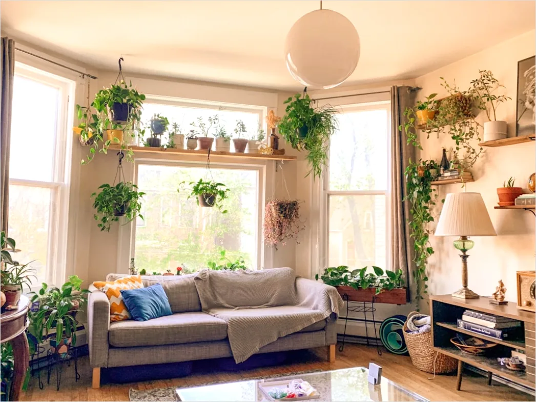 Wohnzimmer Mit Pflanzen Urban Jungle Foto 7f49