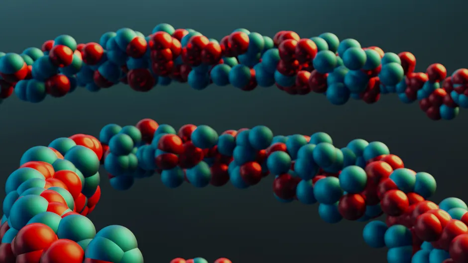Dna Modell Im Biologieunterricht In Haenden Foto 96e9