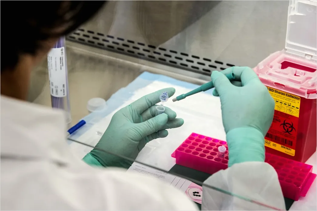 Dna Test Im Medizinischen Labor Foto 93ac