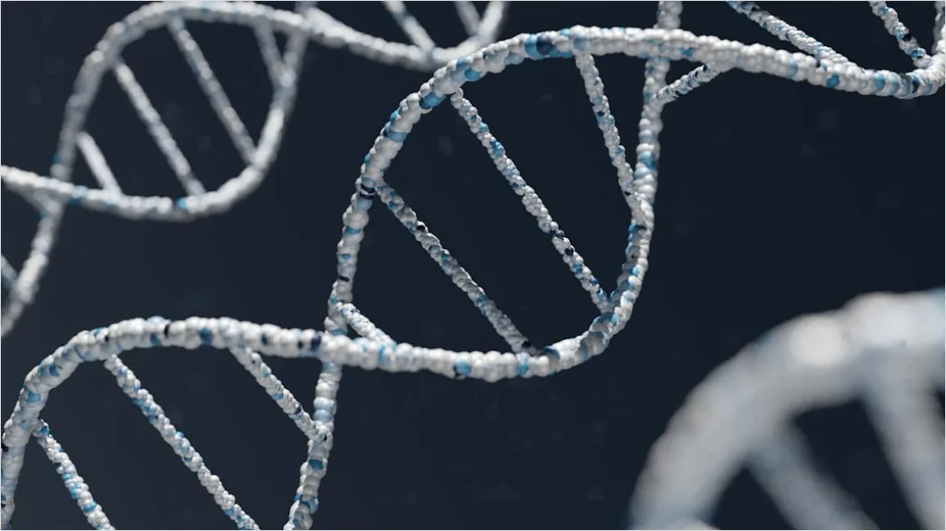 Gentechnik Labor Mit Dna Proben Foto