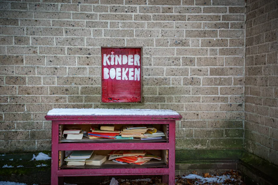 Detail Kinder Entdecken Naturmaterialien Im Waldkindergarten Foto Number 17