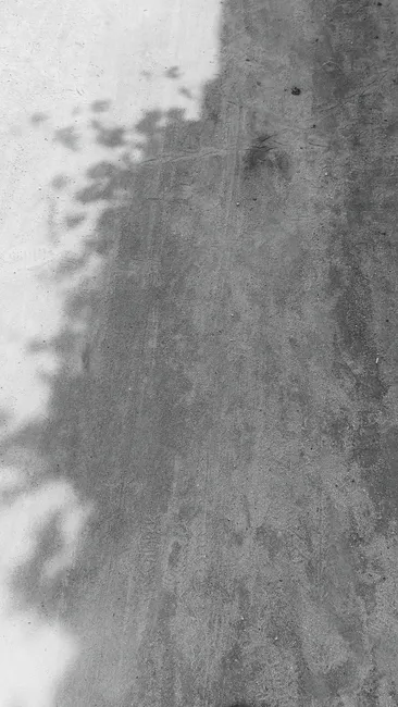 Detail Klasse Macht Letztes Foto Im Schulhof Foto Number 6
