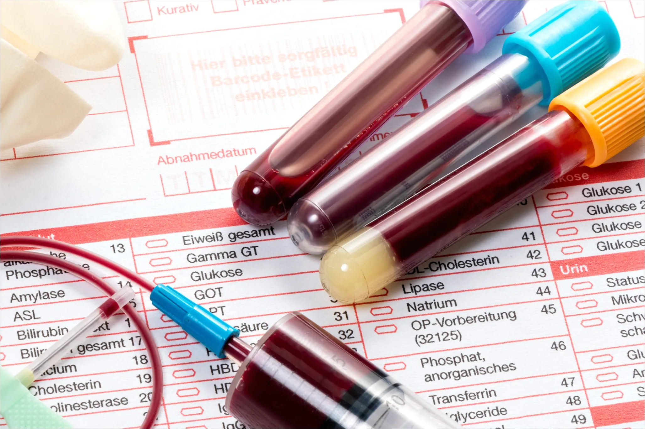 Detail Laboranalyse Von Biologischen Proben Foto Number 3