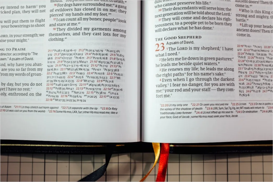 Lehrbuchseiten Mit Textmarker Markiert Nahaufnahme Foto 052b