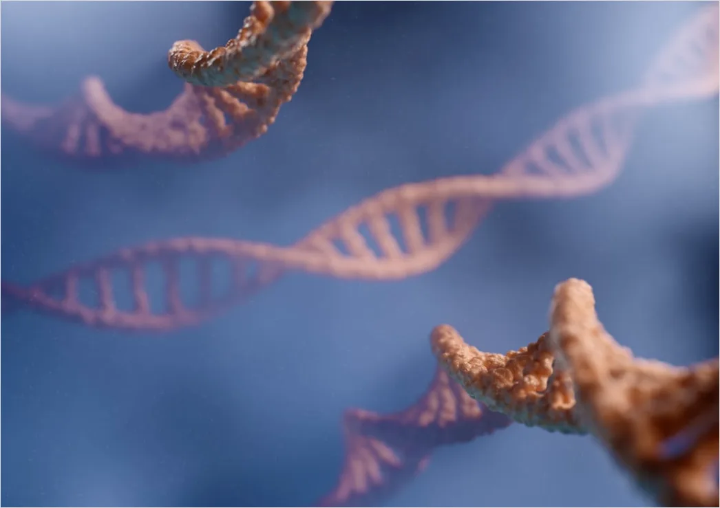 Molekuelstruktur Dna Nahaufnahme Bild