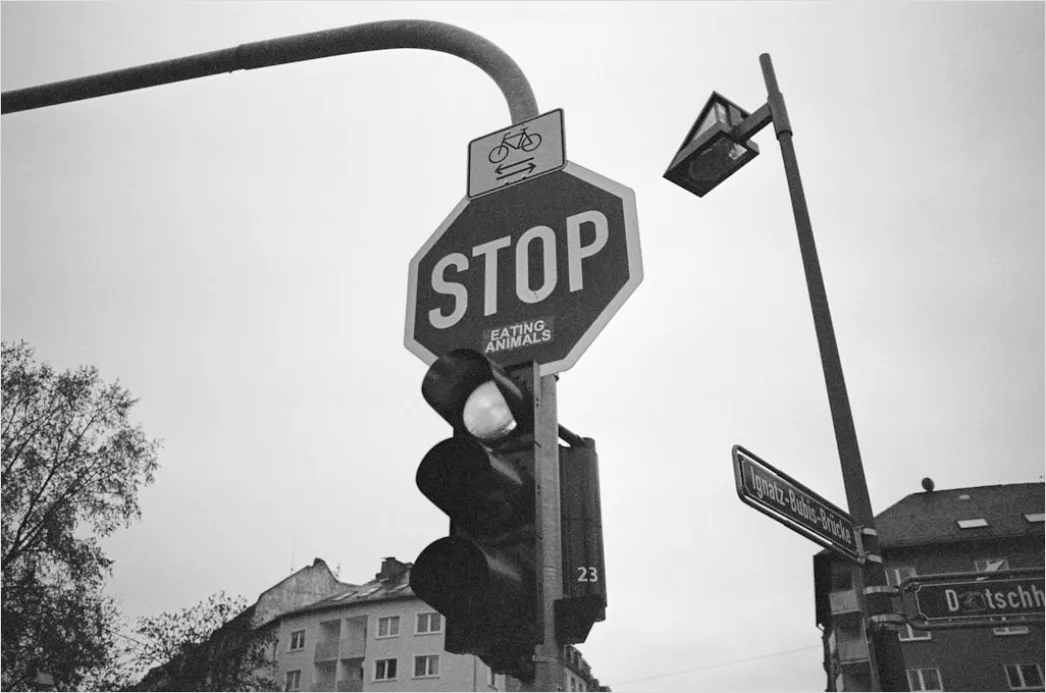 Oszilloskop Mit Signal Kurven Nahaufnahme Foto