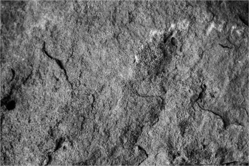 Sedimentgestein Nahaufnahme Wissenschaftliches Bild