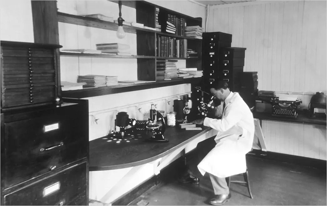 Wissenschaftler Arbeitet Im Modernen Labor Foto 5186