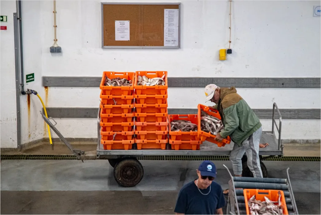 Arbeiter Prueft Lebensmittelverpackungen Foto
