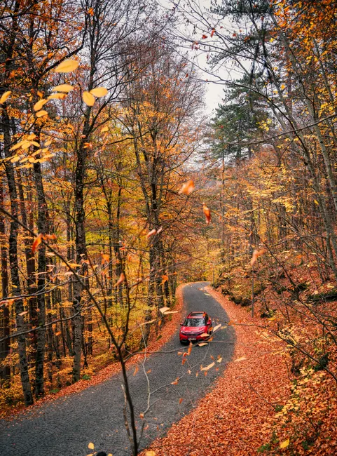 Auto Faehrt Durch Herbstlandschaft Foto 8ecc