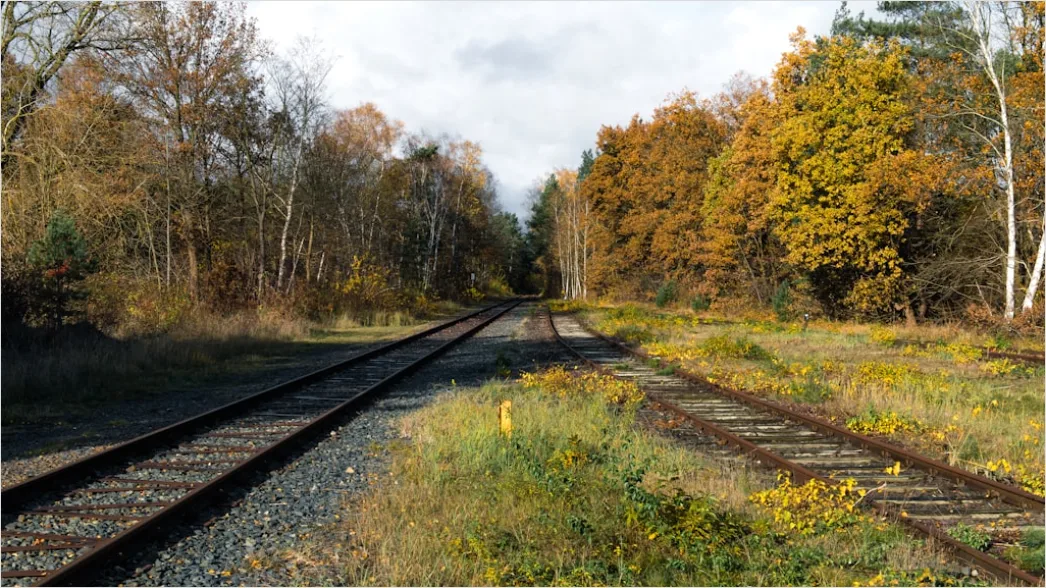 Bahnstrecke Durch Herbstwald Foto E7ce