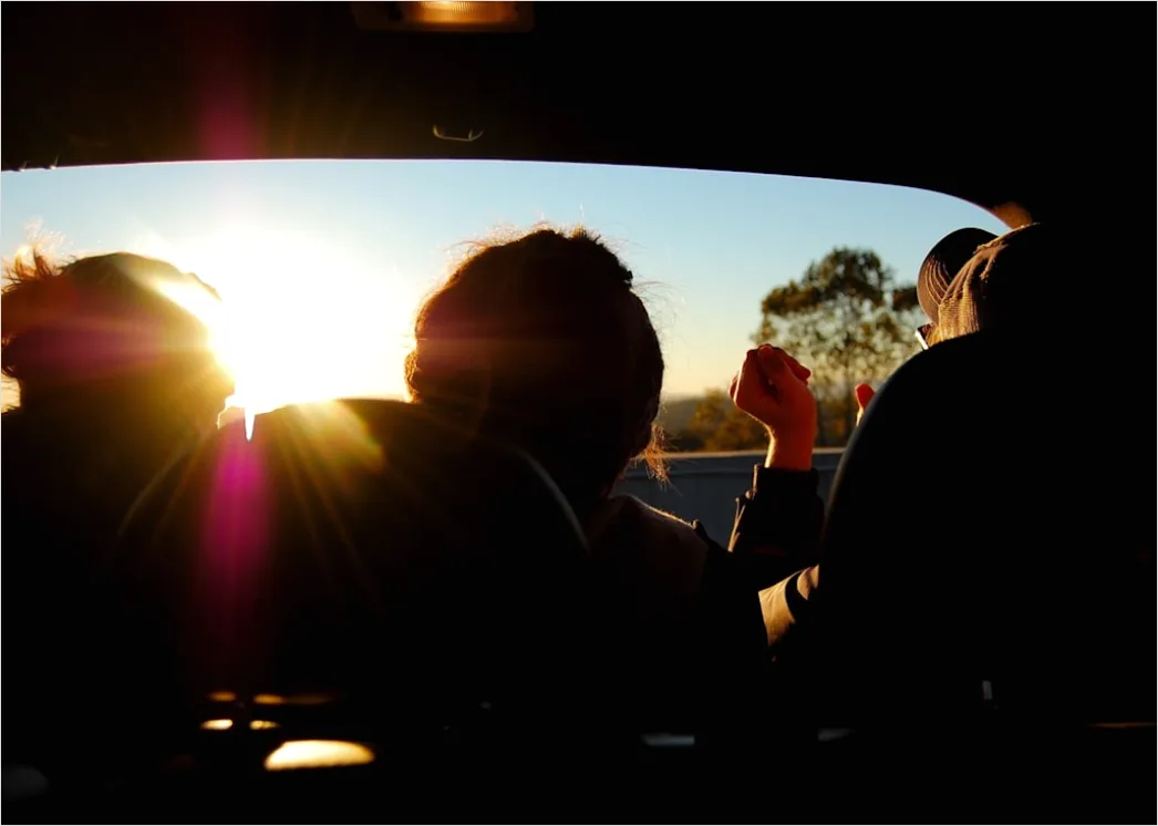 Fahrer Im Auto Bei Sonnenuntergang Bild B7cd