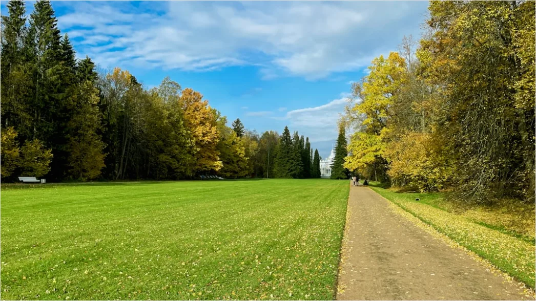 Fahrrad Auf Radweg Im Park Foto 9b84