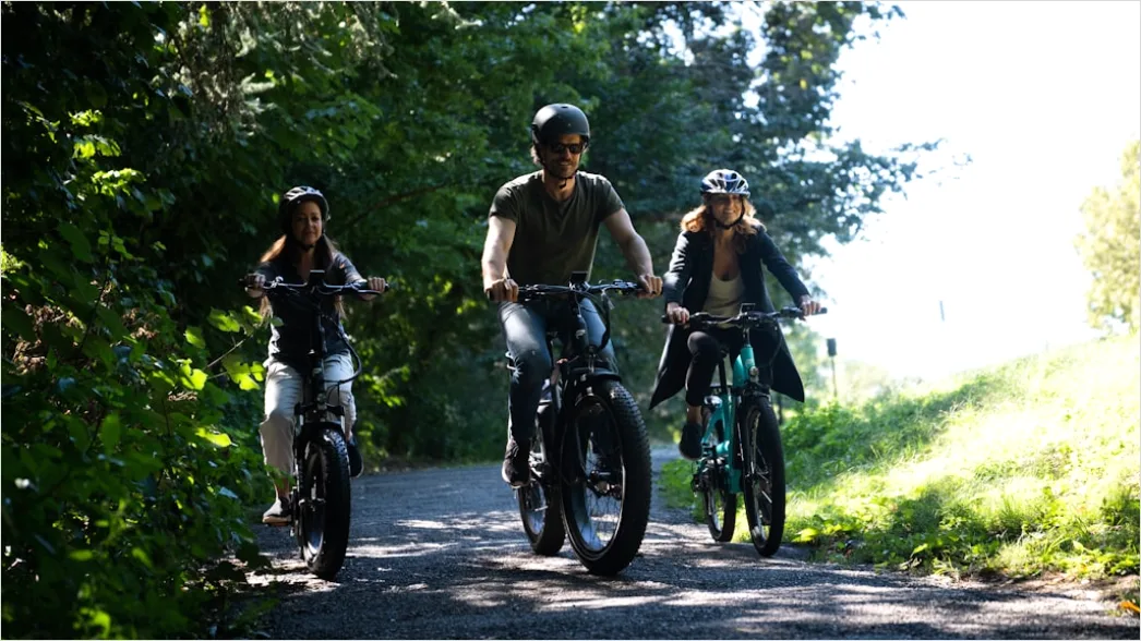 Familie Faehrt Fahrrad Im Sommer Bild Aec6