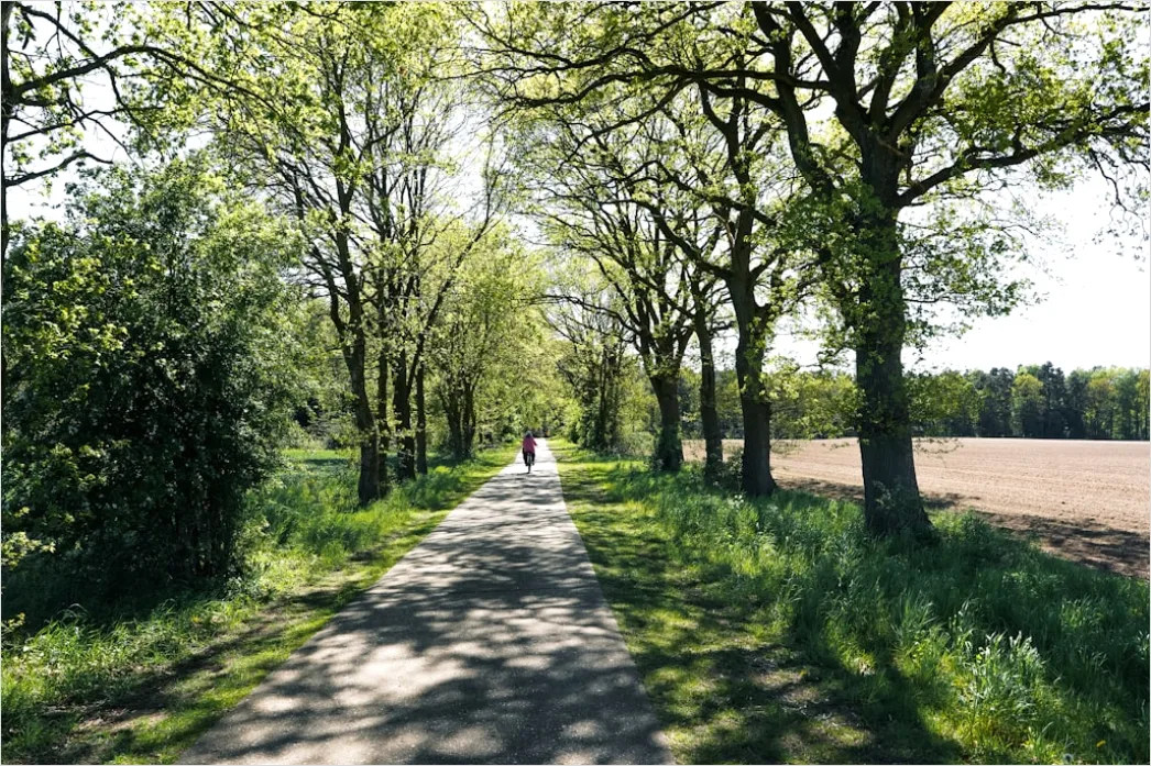 Oldtimer Auf Landstrasse Bei Sonne Foto Deae