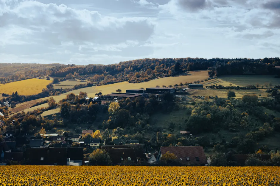 Regionalzug In Laendlicher Landschaft Bild 278d