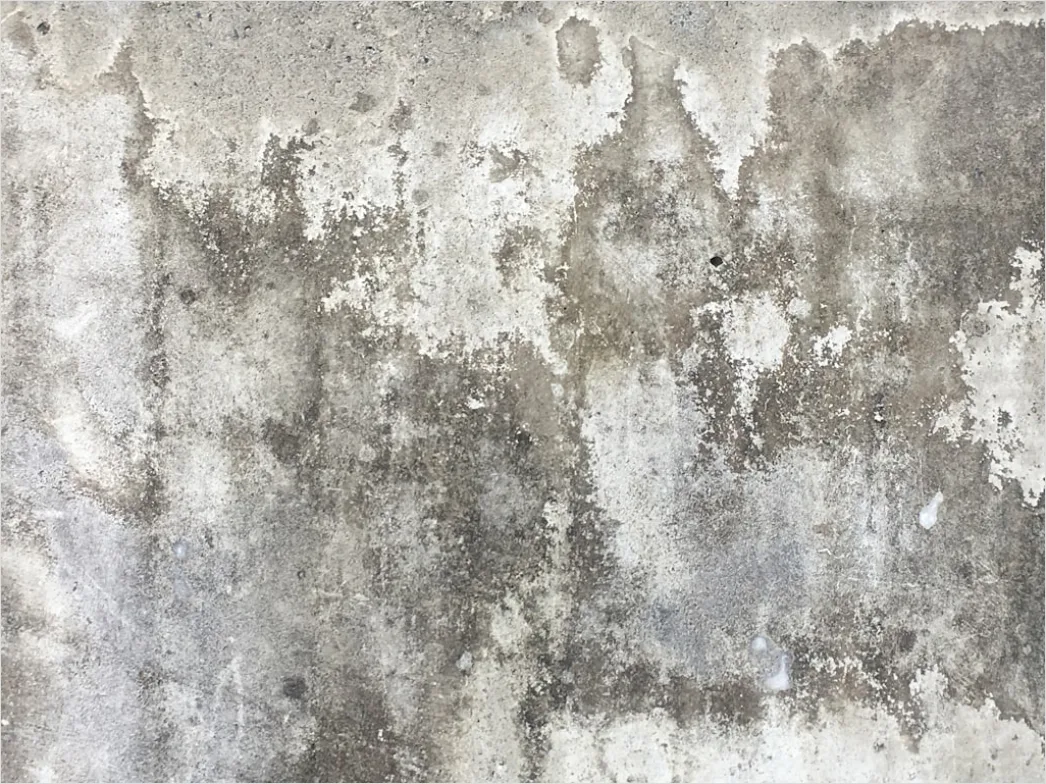 Alter Beton Mit Rissen Und Flecken E67b