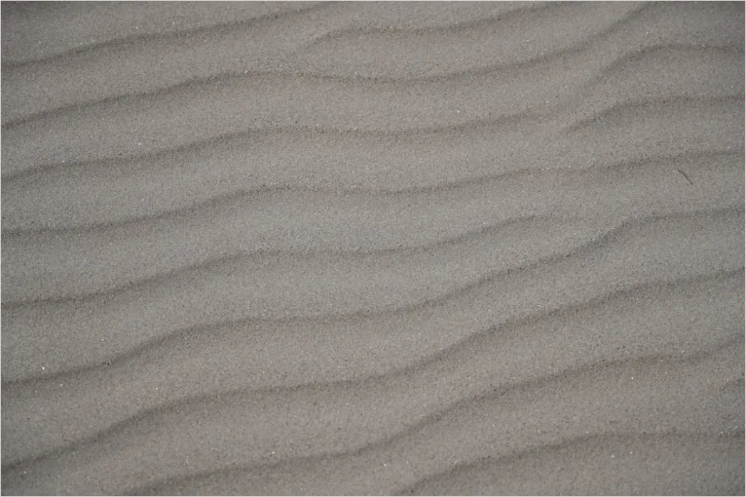 Detail Beige Sanddüne Mit Natürlichen Formen Number 13