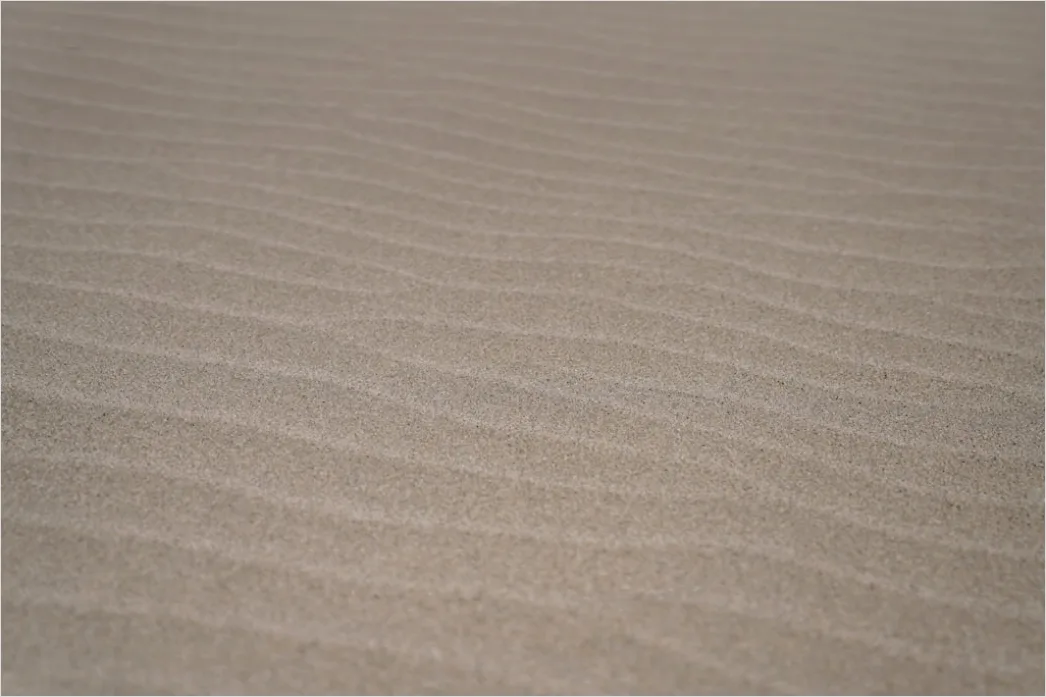 Detail Beige Sanddüne Mit Natürlichen Formen Number 15