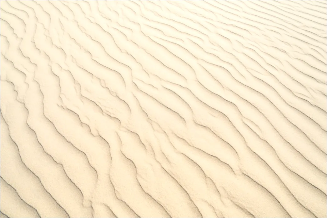 Detail Beige Sanddüne Mit Natürlichen Formen Number 2