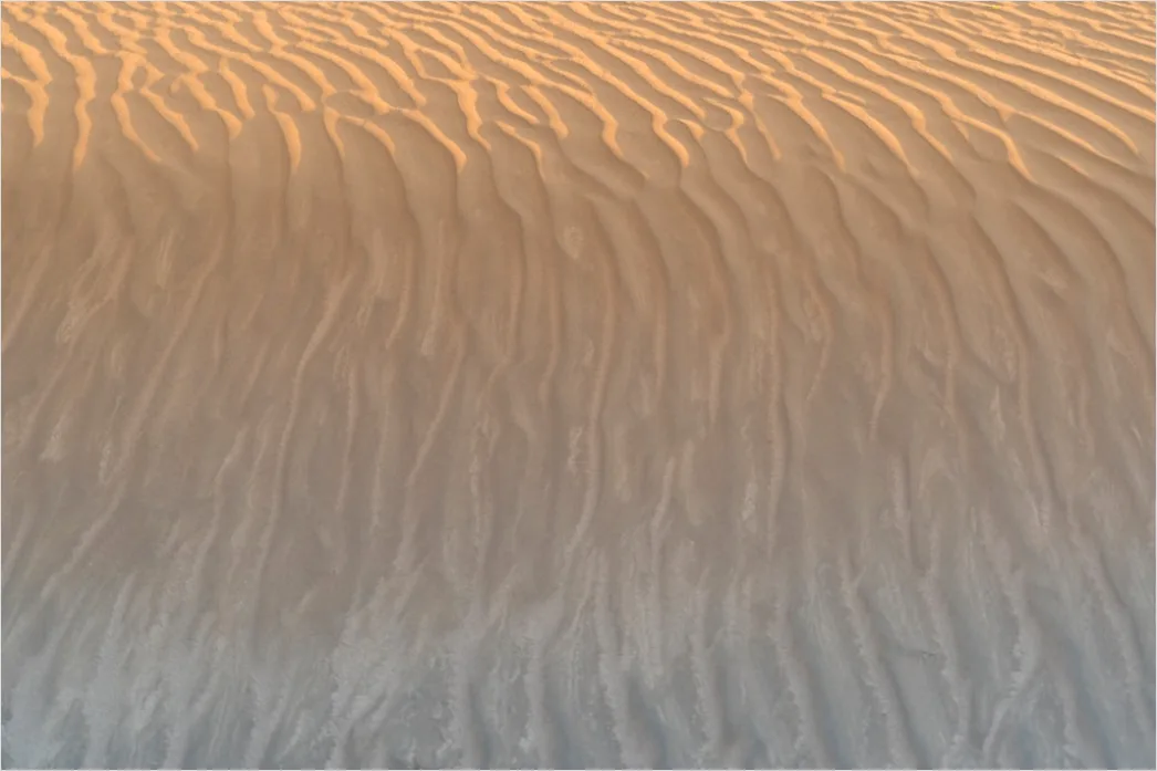 Detail Beige Sanddüne Mit Natürlichen Formen Number 4