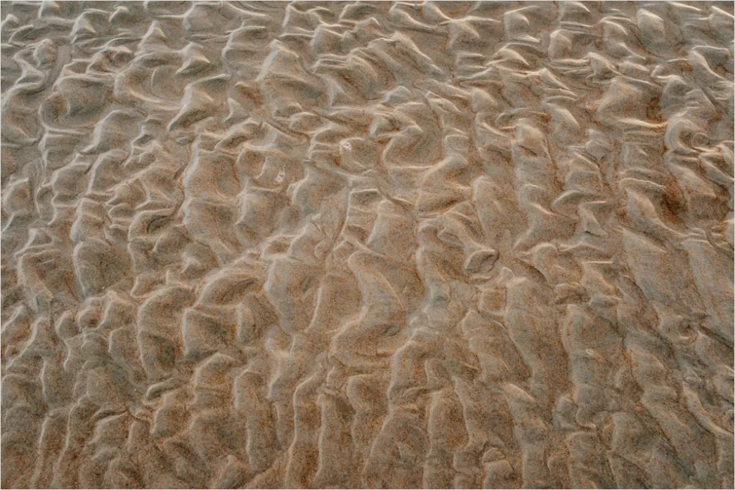Detail Beige Sanddüne Mit Natürlichen Formen Number 6
