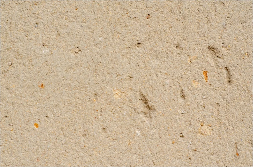 Detail Beiges Papier Mit Feiner Körnung Hintergrund Number 2