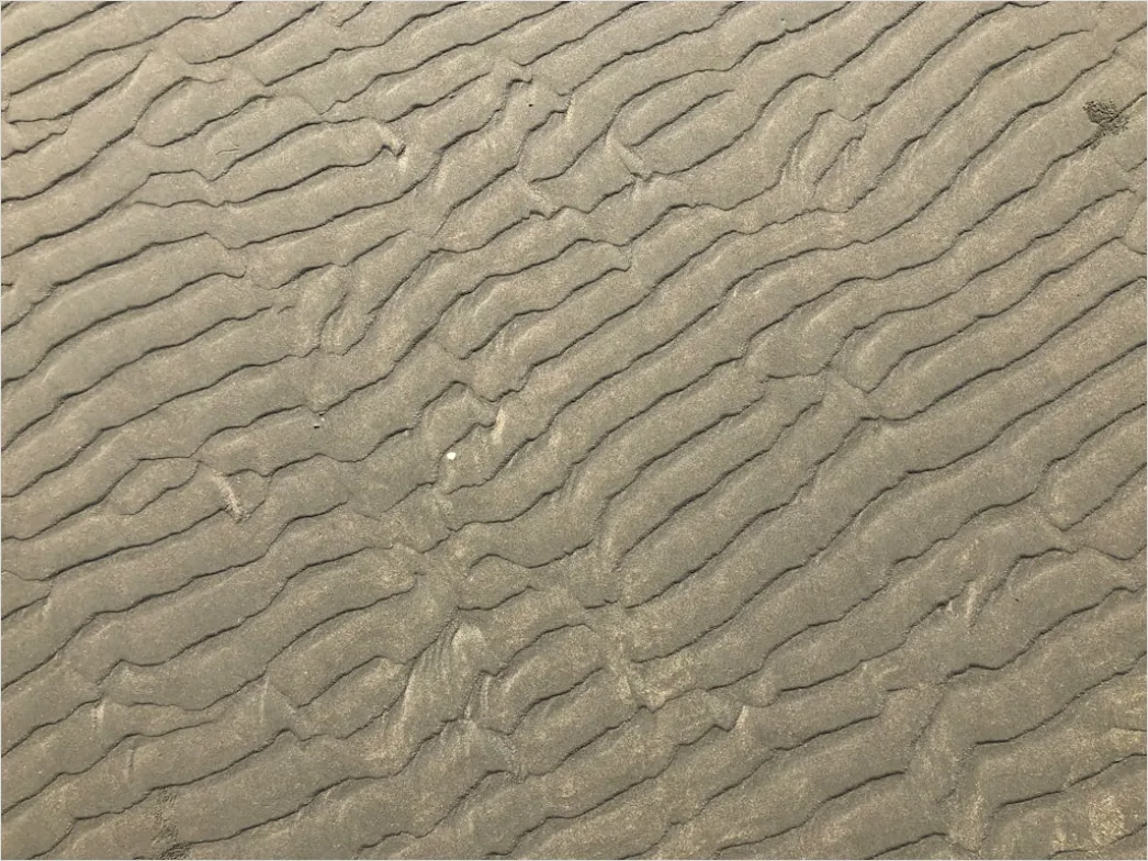 Betonboden Mit Rauer Textur Von Oben 8a6c