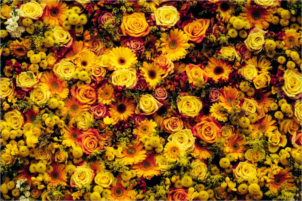 Detail Blumenmuster Mit Natürlichen Farben Number 12