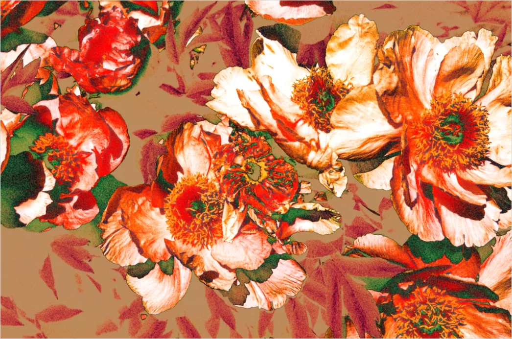 Detail Blumenmuster Mit Natürlichen Farben Number 5