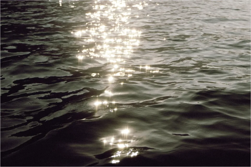 Dunkles Wasser Mit Spiegelungen 639d