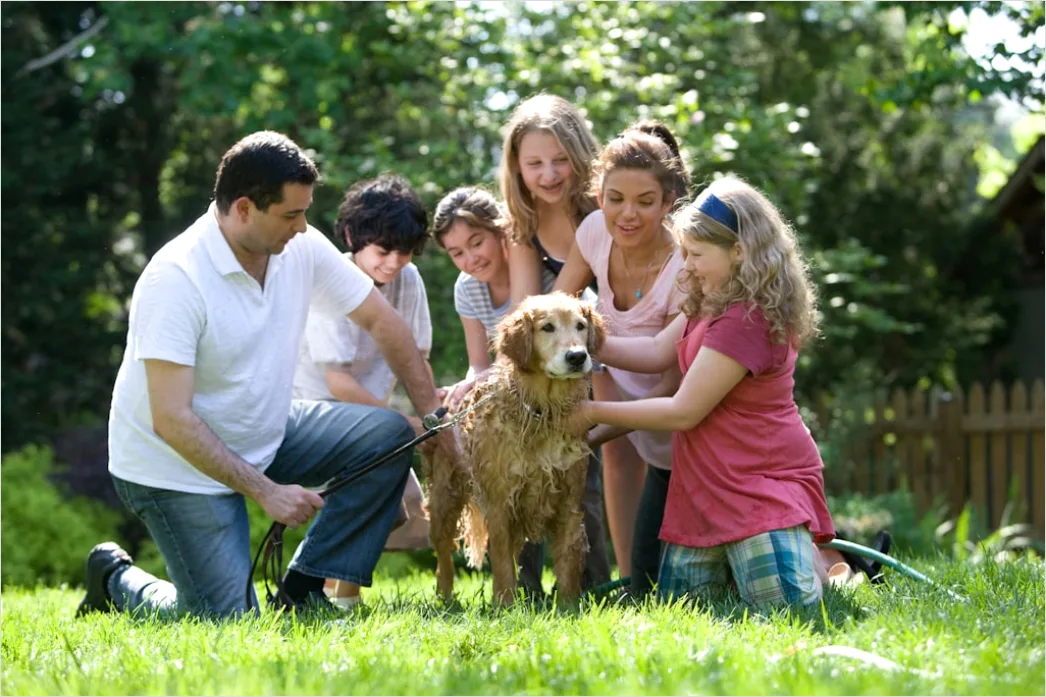 Familie Mit Kindern Im Sommer Bild 1056