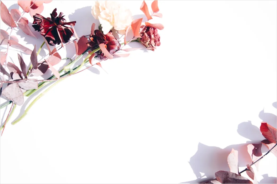 Getrocknete Blumen Als Aesthetischer Hintergrund 61f1