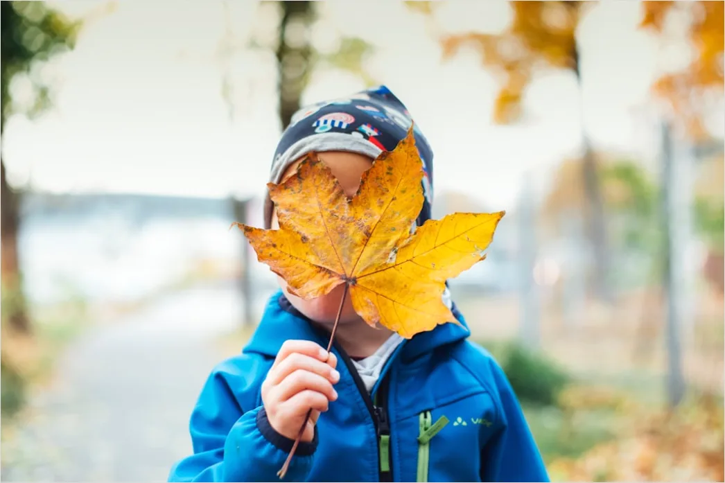 Kind Im Herbst Mit Bunten Blaettern Bild 8846