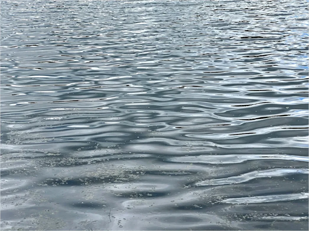 Detail Klare Wasseroberfläche Mit Sanften Wellen Number 8
